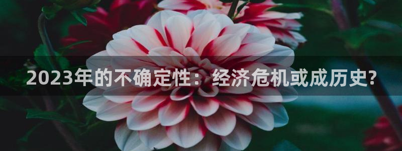 威廉希尔(williamhill)体育免费注册入口：2023年的不确定性：经济危