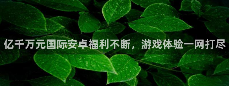 威廉希尔(williamhill)有梦你就来：亿千万元国际安卓福利不断，游戏体验
