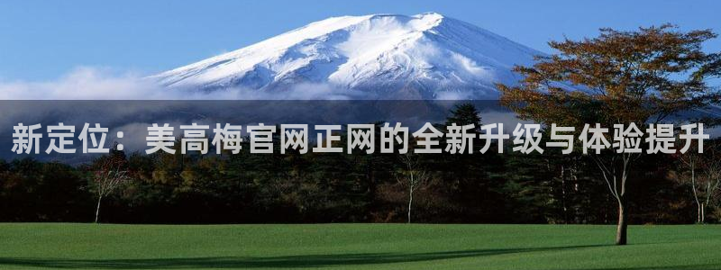 威廉希尔(williamhill)登陆：新定位：美高梅官网正网的全新升级与体验提
