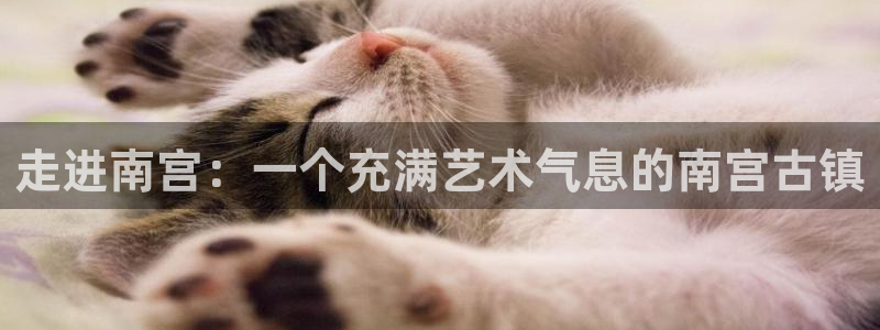 威廉希尔(williamhill)平台链接：走进南宫：一个充满艺术气息的南宫古镇