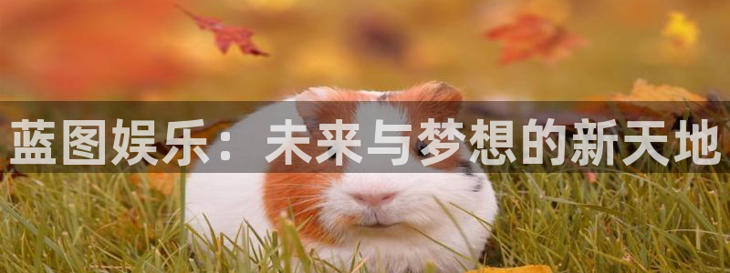 威廉希尔(williamhill)app注册地址：蓝图娱乐：未来与梦想的新天地