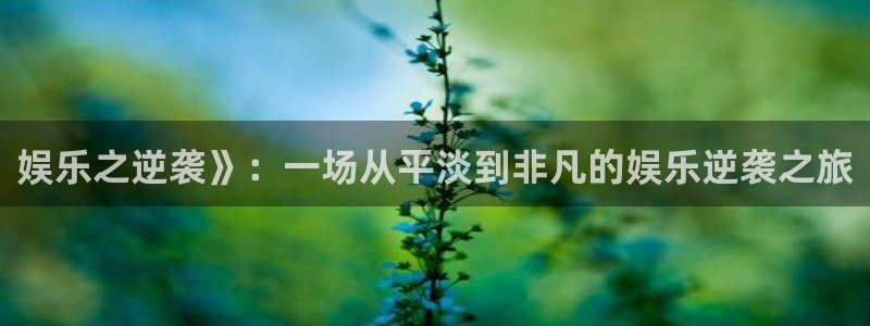 威廉希尔(williamhill)平台登录：娱乐之逆袭》：一场从平淡到非凡的娱乐