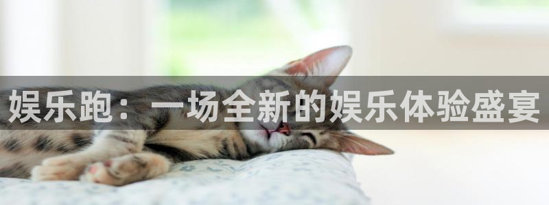 威廉希尔(williamhill)主管：娱乐跑：一场全新的娱乐体验盛宴