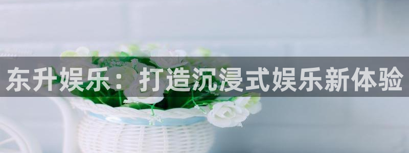 威廉希尔(williamhill)招商：东升娱乐：打造沉浸式娱乐新体验