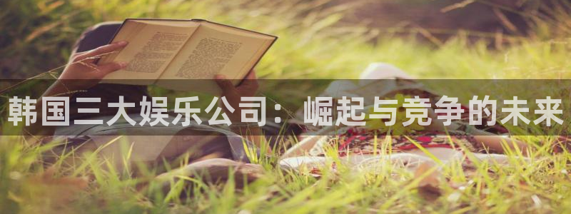 威廉希尔(williamhill)网页版：韩国三大娱乐公司：崛起与竞争的未来