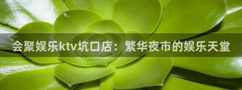 威廉希尔(williamhill)免费注册：会聚娱乐ktv坑口店：繁华夜市的娱乐