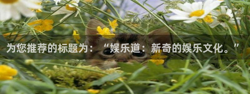 威廉希尔(williamhill)平台官网：为您推荐的标题为：“娱乐道：新奇的娱