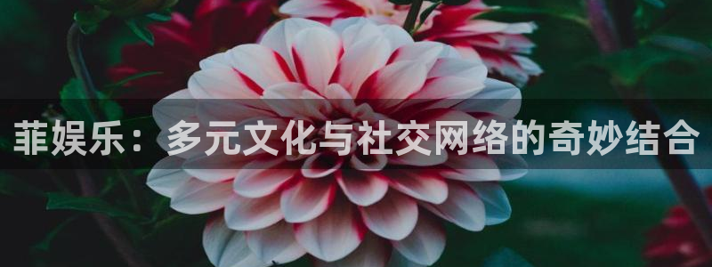 威廉希尔(williamhill)2平台：菲娱乐：多元文化与社交网络的奇妙结合