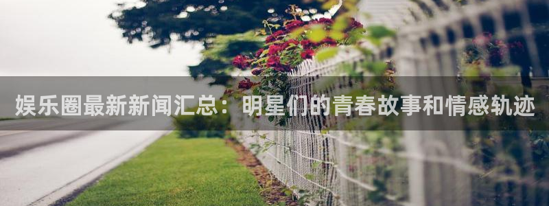 威廉希尔(williamhill)官网：娱乐圈最新新闻汇总：明星们的青春故事和情