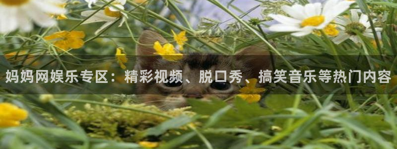 威廉希尔(williamhill)体育f开号：妈妈网娱乐专区：精彩视频、脱口秀、