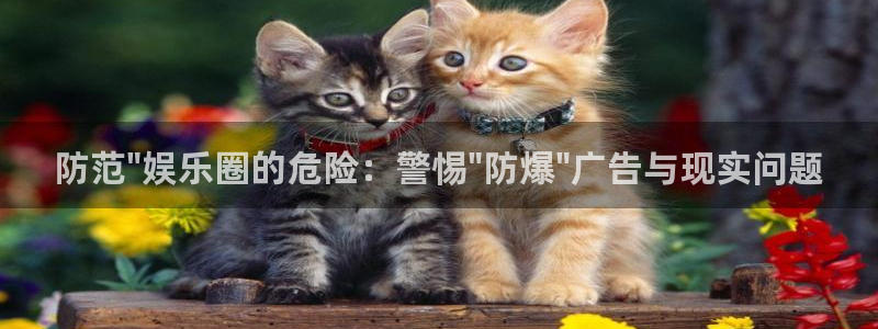 威廉希尔(williamhill)能源：防范\