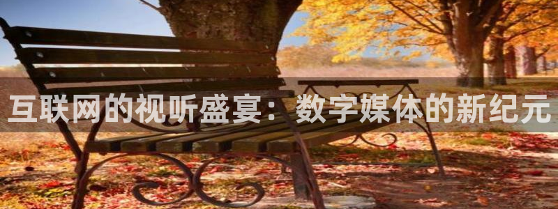 威廉希尔(williamhill)分红代理计划：互联网的视听盛宴：数字媒体的新纪