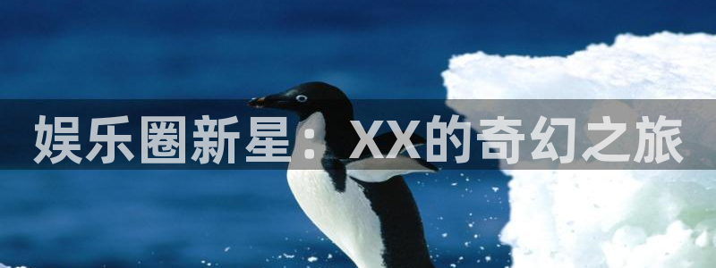 威廉希尔(williamhill)2官网：娱乐圈新星：XX的奇幻之旅